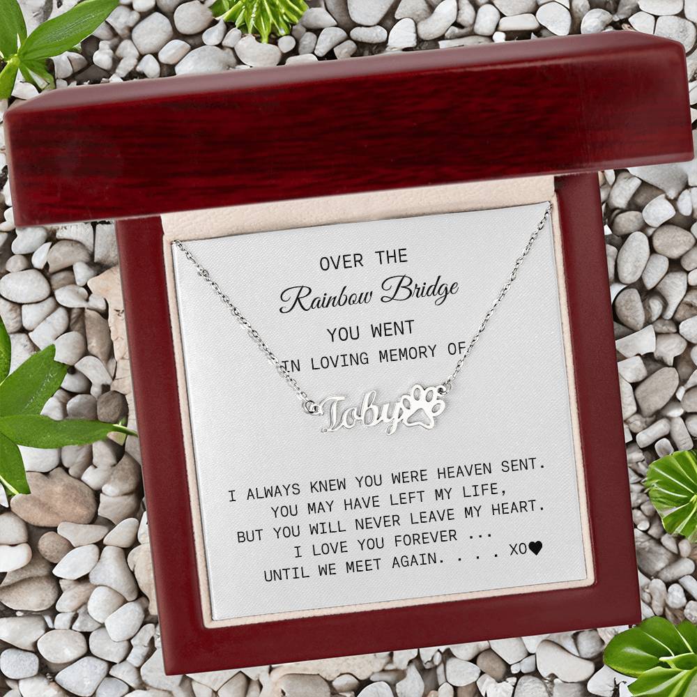 Personalizable Rainbow Bridge Paw Print Name Necklace with a polished stainless steel finish in a mahogany style gift box with an LED light - Any Gift for You